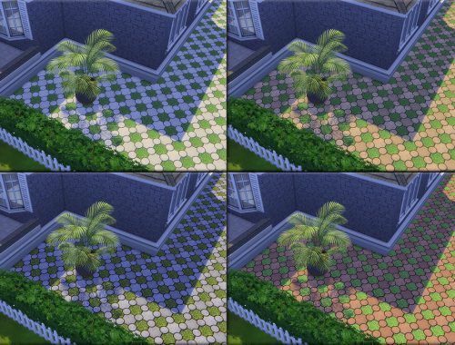 Lawn And Stone Pavement