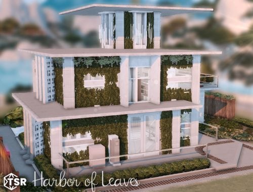 Harbor Of Leaves L Nocc