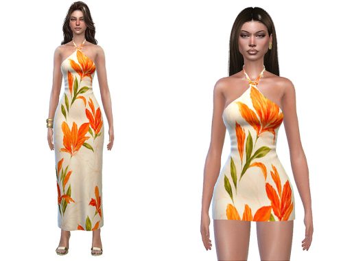Clair Dress Set