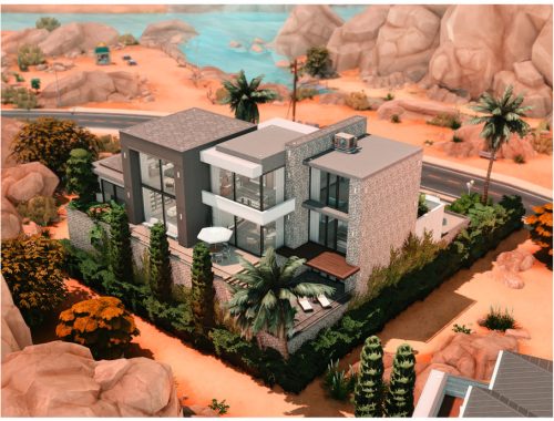Mm Modern Oasis