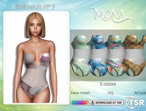 Swimsuit With Transparency