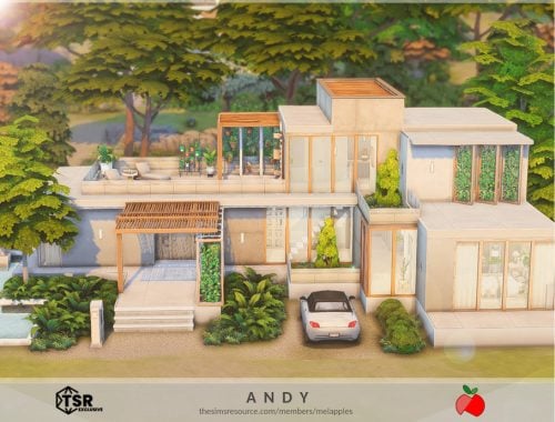 Andy - No Cc