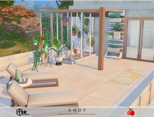 Andy - No Cc