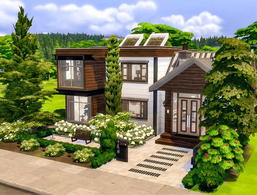 Mini Modern