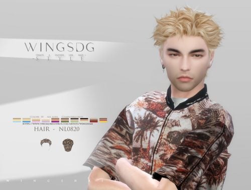 Wings Hair-curly Short Hair