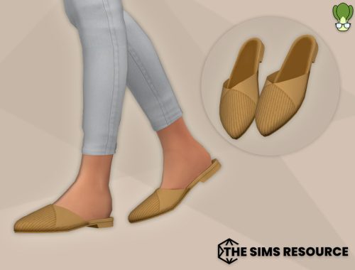 Pointed Toe Flat Mules