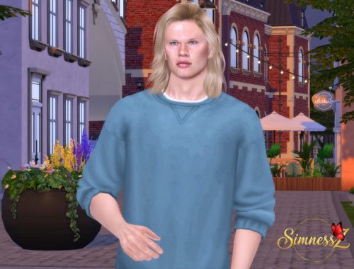 Sim Inspired By Erling Haaland