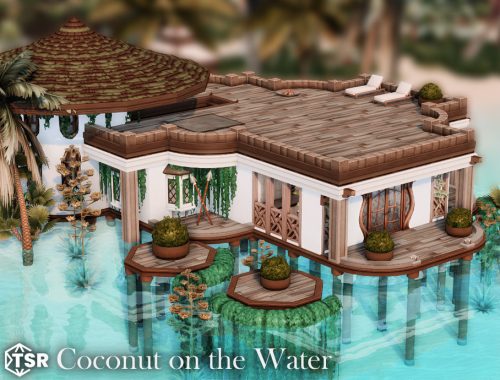 Coconut On The Water L Nocc