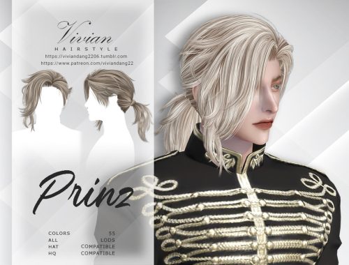 Prinz - Hairstyle