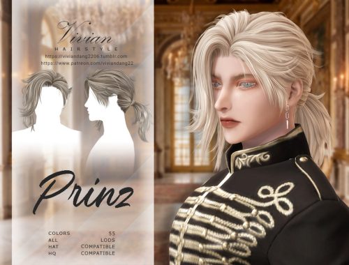 Prinz - Hairstyle