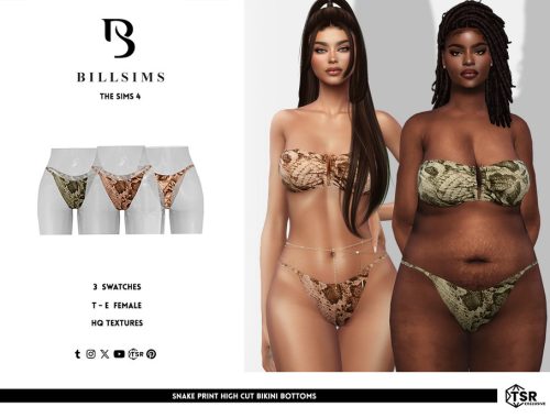 Snake Print Bandeau Bikini Set