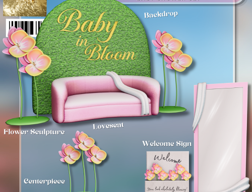 Baby In Bloom Baby Shower Set