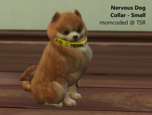Nervous Pet Collars