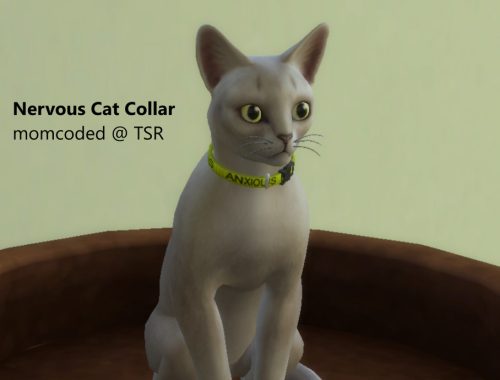 Nervous Pet Collars