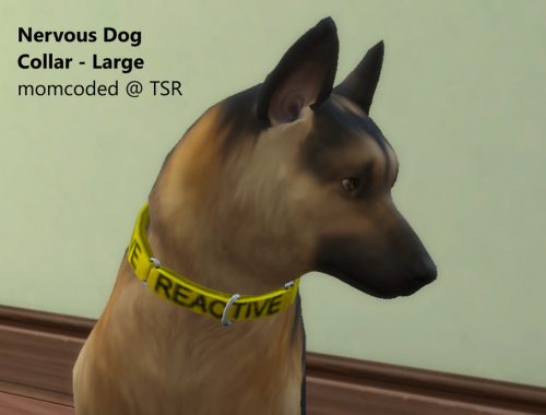 Nervous Pet Collars
