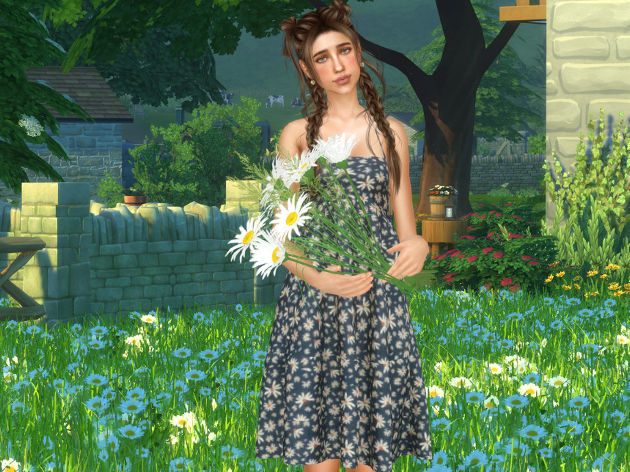 Daisie May Fields - Image 4