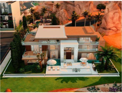 Mm Tropical Modern