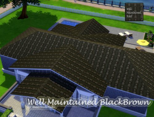 Well Maintained Roof Set