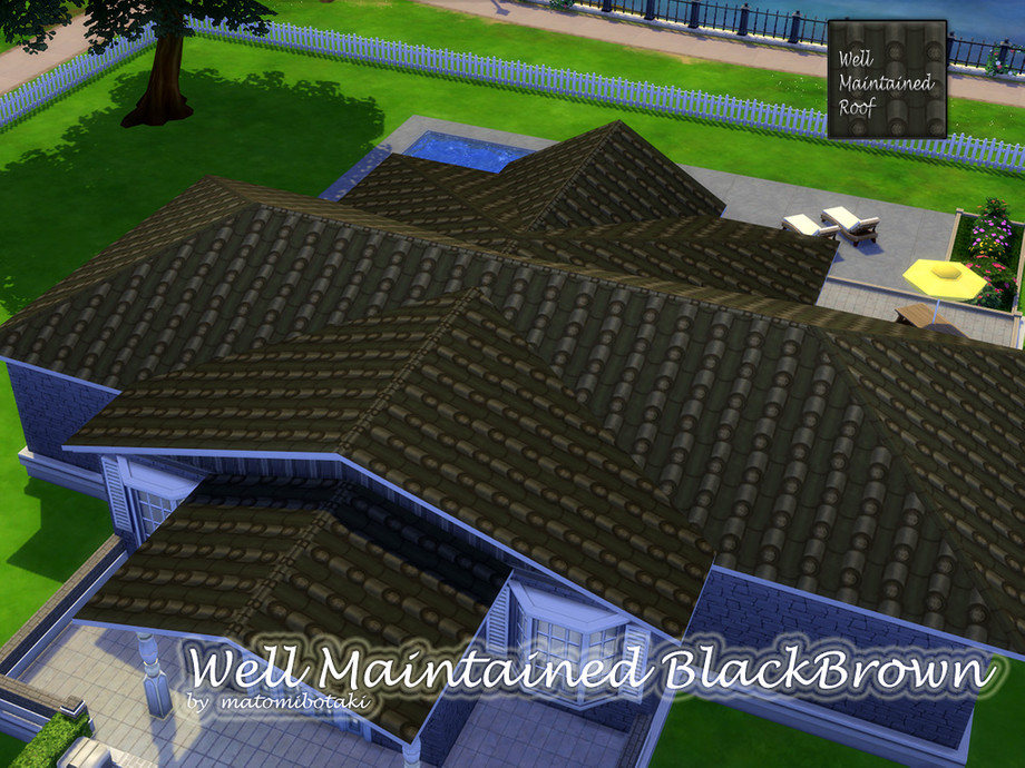 Well Maintained Roof Set - Image 2