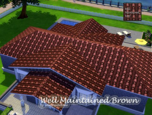 Well Maintained Roof Set