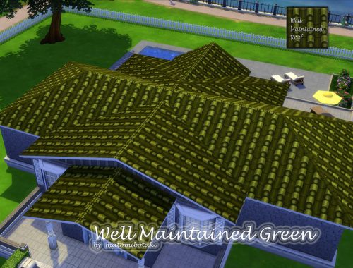 Well Maintained Roof Set