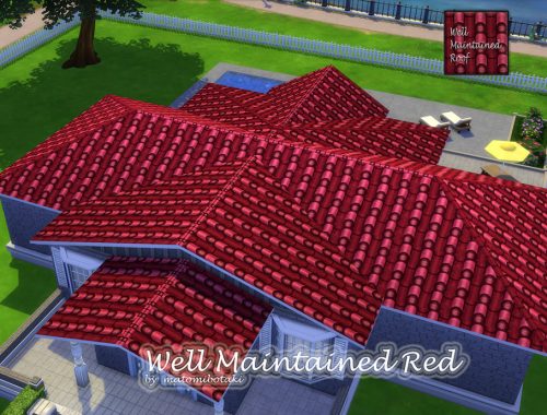 Well Maintained Roof Set