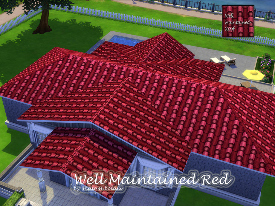 Well Maintained Roof Set - Image 5