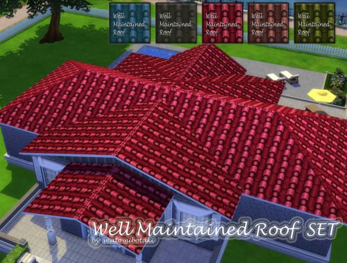 Well Maintained Roof Set