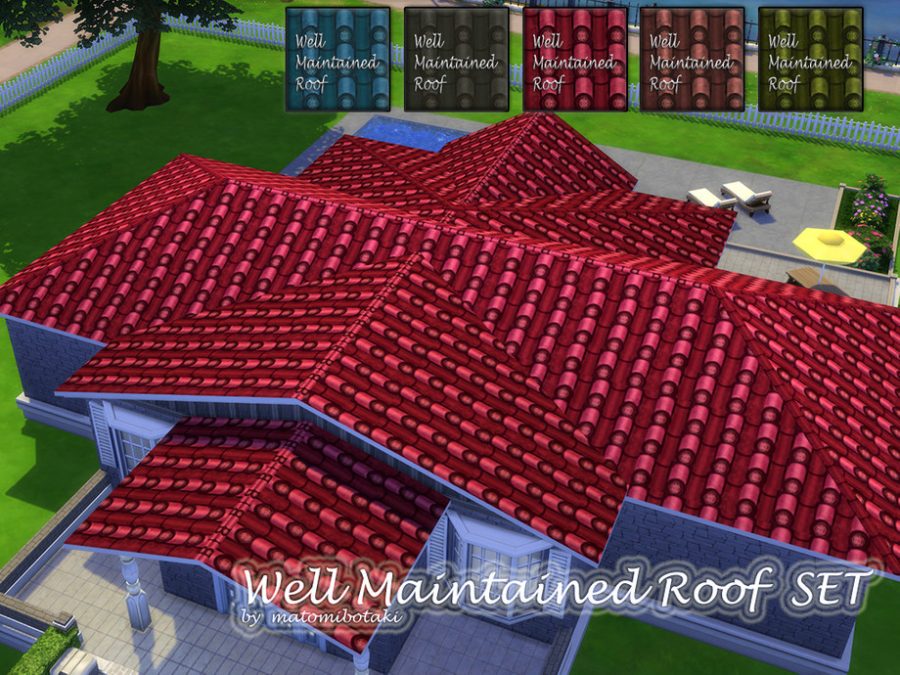 Well Maintained Roof Set