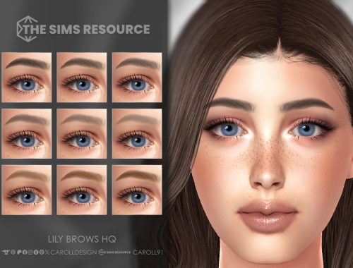 Lily Brows Hq