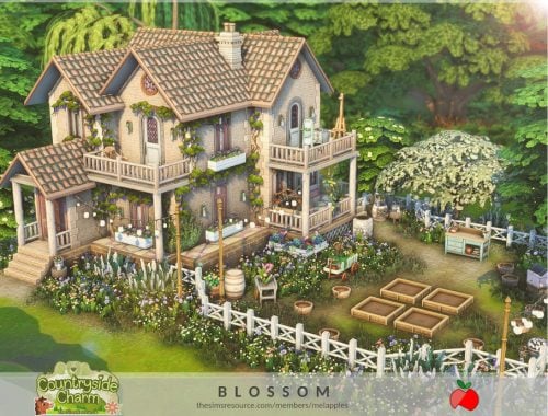 Countryside Charm - Blossom