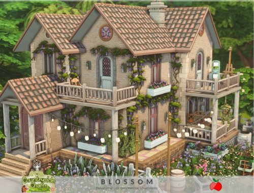 Countryside Charm - Blossom