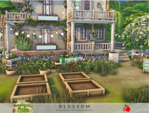 Countryside Charm - Blossom