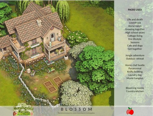 Countryside Charm - Blossom