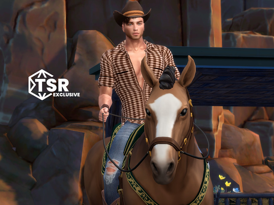 Countryside Charm - Colt Westwood - Image 4