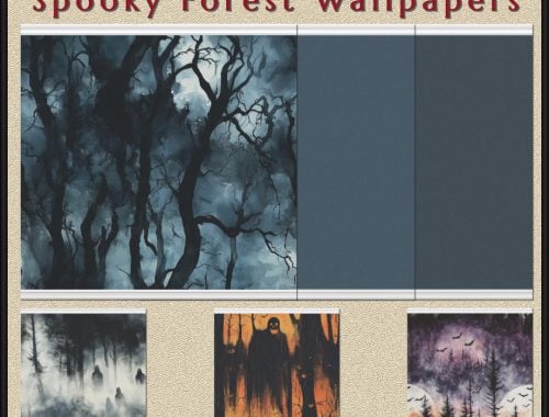 Haunted Series - Spooky Forest Wallpapers