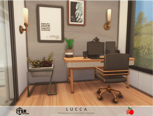Lucca - No Cc