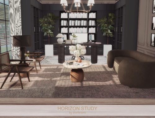 Horizon Study