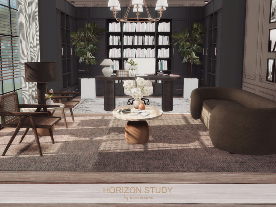 Horizon Study