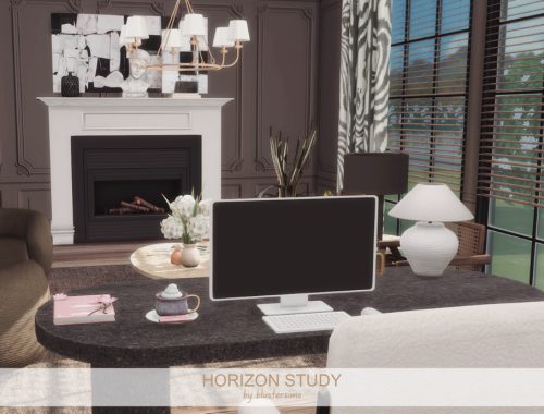 Horizon Study