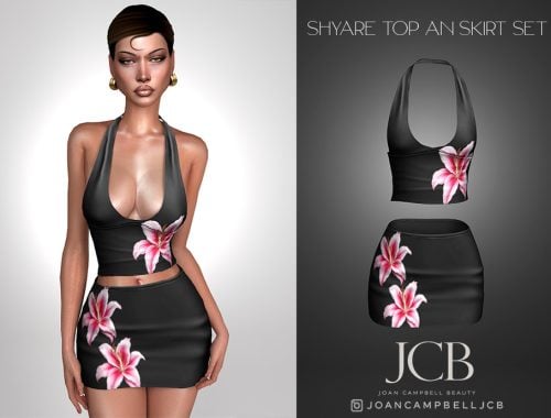 Shyare Top And Skirt Set