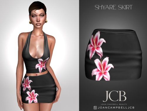 Shyare Top And Skirt Set