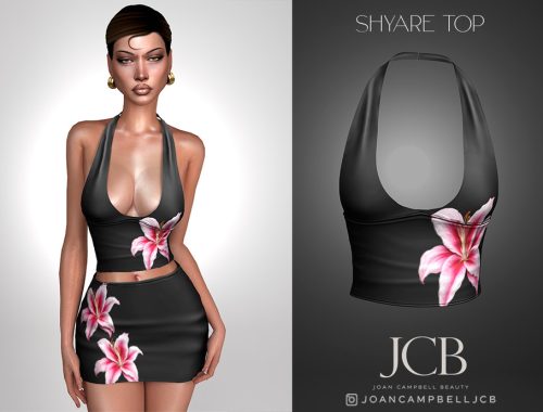 Shyare Top And Skirt Set