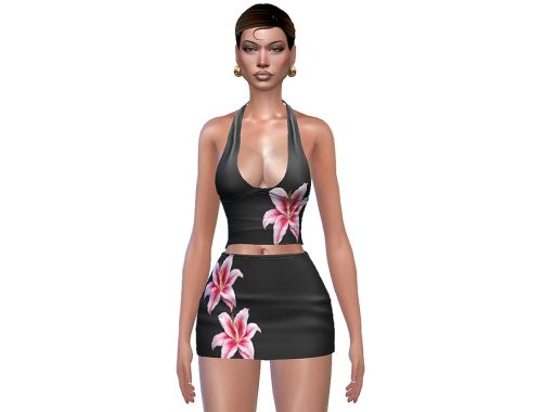 Shyare Top And Skirt Set